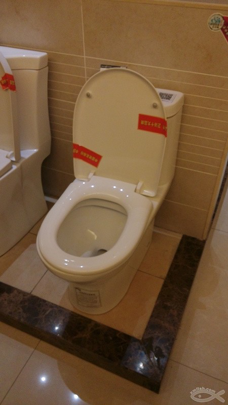 挑選馬桶